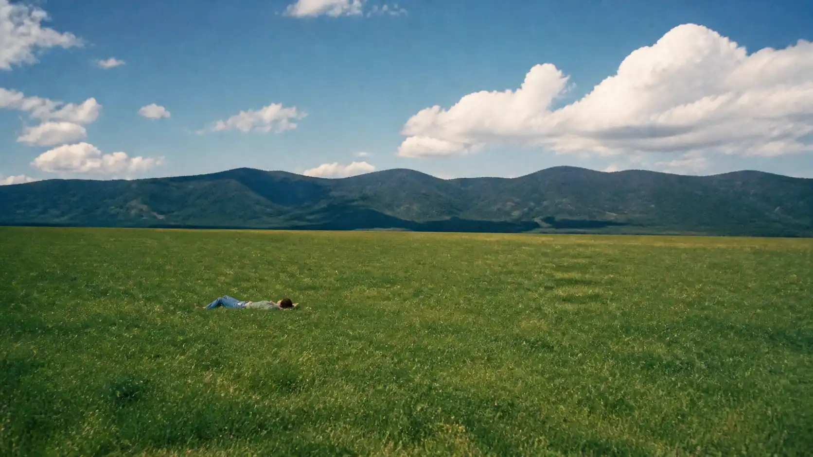 A person resting in an open green field beneath distant mountains
